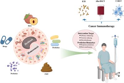 Emerging roles of the gut microbiota in cancer immunotherapy